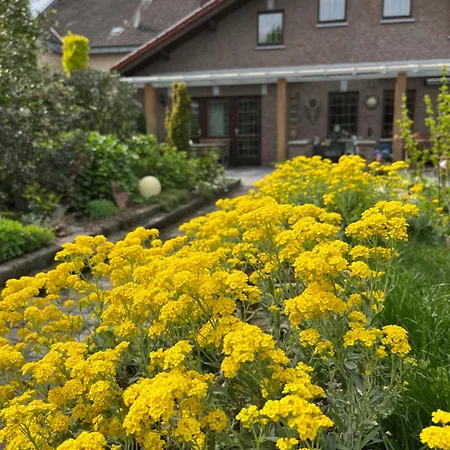 Ferienwohnung Jansen Selfkant Exterior photo